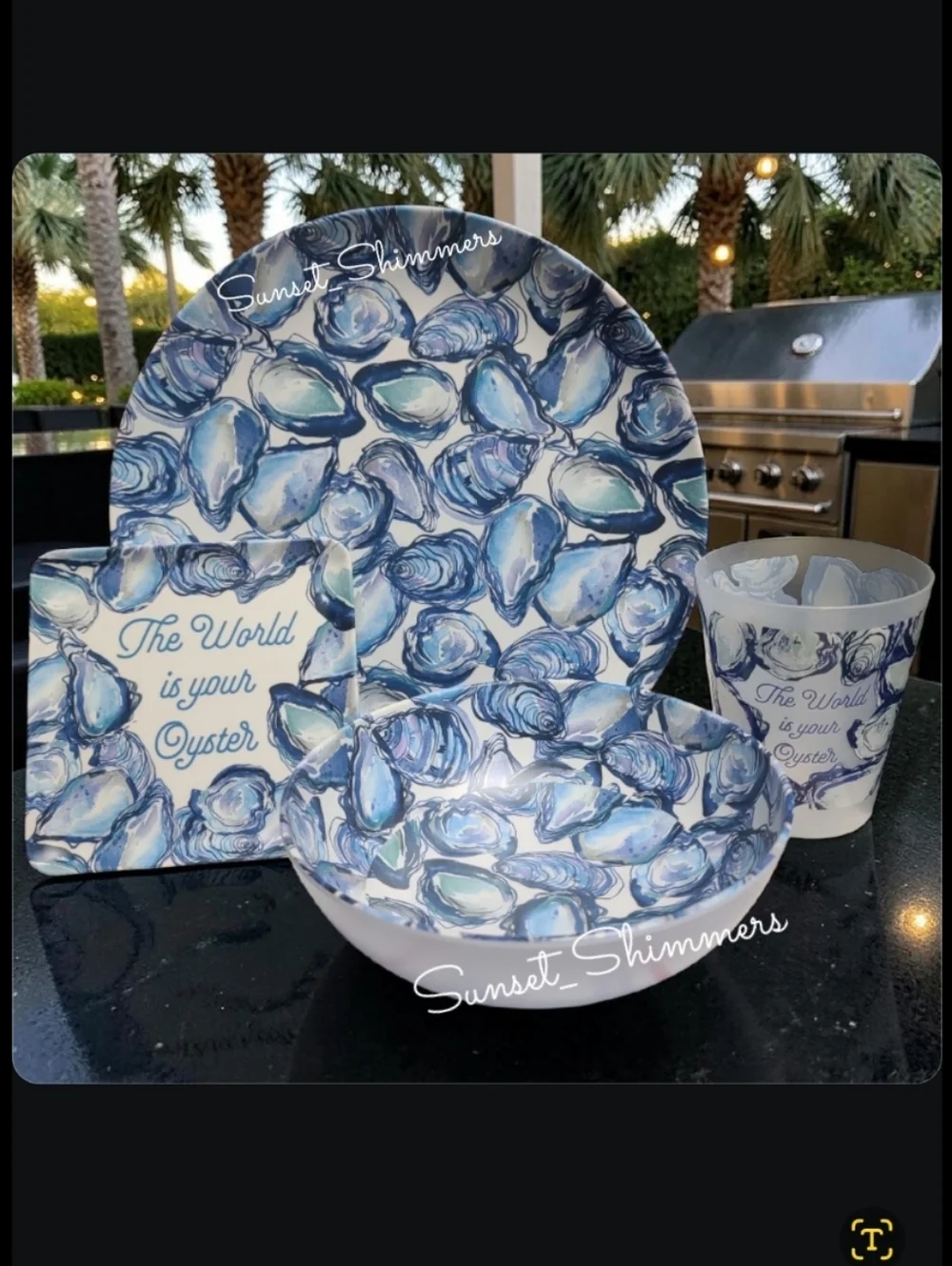 16pc Sigrid Olsen Melamine Oyster Dinner Pack ~ Plates Bowls Tumbler Cups New